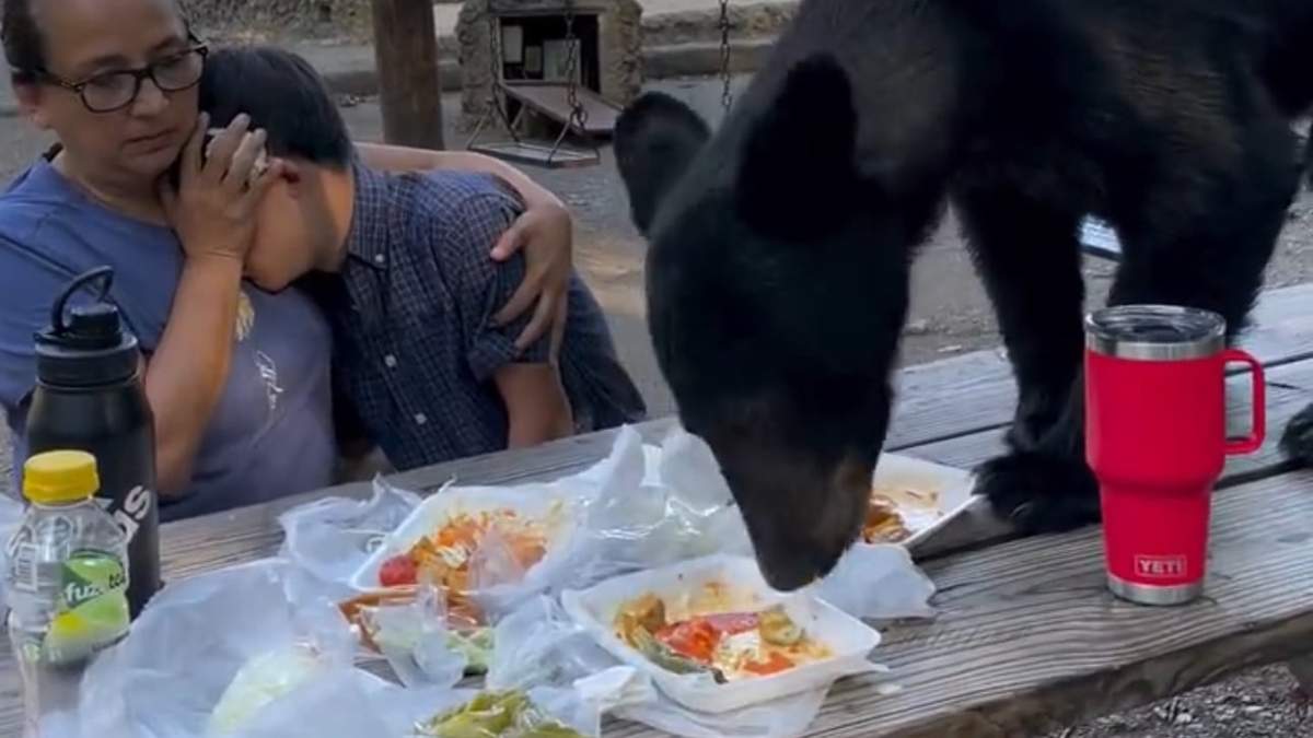 Imagen del video que se volvió viral