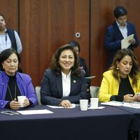 Diputados del PRI critican iniciativa de Sheinbaum que centraliza datos biométricos