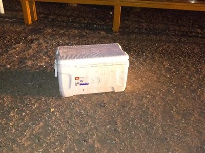 Encuentran hielera con siete cabezas humanas y extremidades en Bácum, Sonora