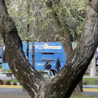 Clima en Neuquén: Martes con calor y ráfagas de viento