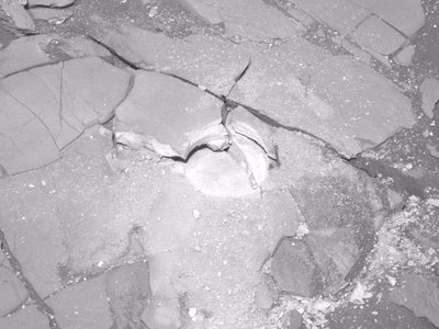 Perseverance descubre rocas idóneas para buscar rastros de vida