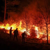 Córdoba bajo alerta por posibles incendios en toda la provincia por las altas temperaturas