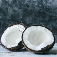 Con esta idea no querrás tirar nunca más la cáscara del coco: hacé la maceta más chic y tropical