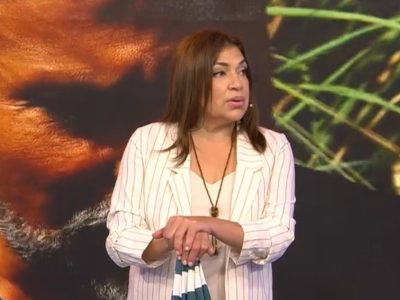 Claribel Medina tiene las plantas que no necesitan muchos cuidados y esconden beneficios para tu salud
