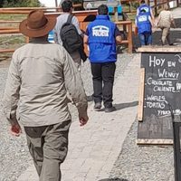 San Martín de los Andes: allanaron Nieves del Chapelco por tala ilegal de lengas