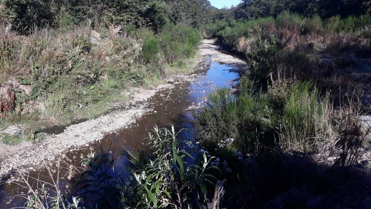 Arroyo Las Piedritas, Villa La Angostura. Fuente: (Instagram)