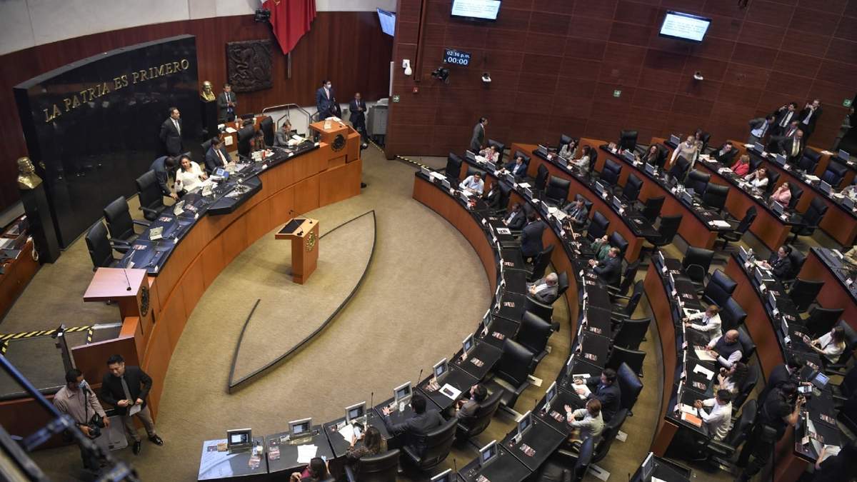 Cámara de Senadores. Renovación