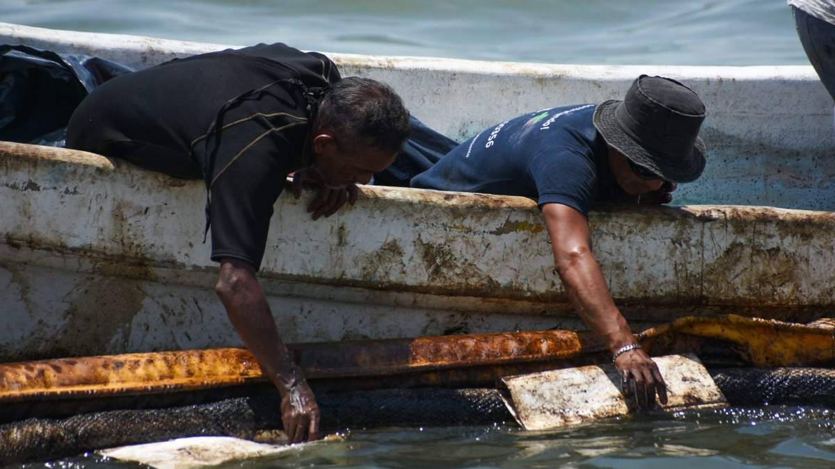 Trabajos de limpieza y detección de manchas de combustóleo en orillas de la playa de Campeche