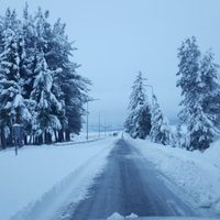 Ojo: alerta por nevadas intensas en Neuquén