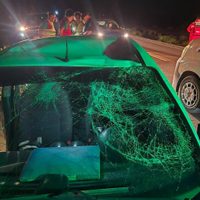 Un auto chocó contra un caballo en Bajo del Toro: el conductor fue hospitalizado