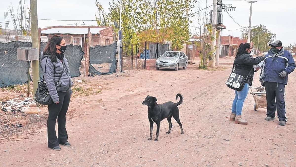 Coronavirus en Neuquén. Fuente: (Twitter)
