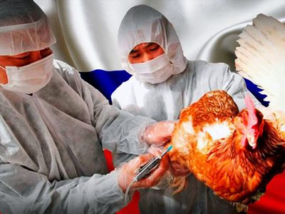 Reportan en Rusia los primeros casos de gripe aviar en humanos