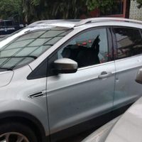 Asesinan a Emma Cecilia León Priego, empresaria ganadera en Tabasco