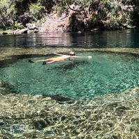 Patagonia escondida: el destino de aguas cristalinas y bosques densos, ideal para desconectar