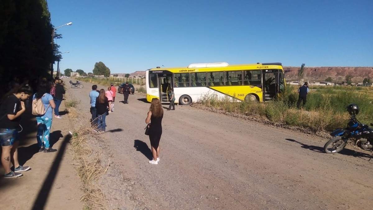 Autobuses Neuquén. Fuente: (Twitter)