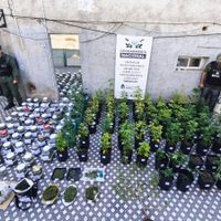 Cayó una organización dedicada al tráfico de personas y armas que operaba entre Mendoza y Chile