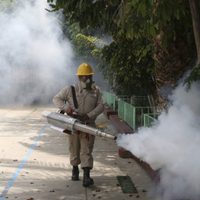 Oaxaca, séptimo lugar a nivel nacional con 709 casos confirmados de dengue, ya son tres defunciones