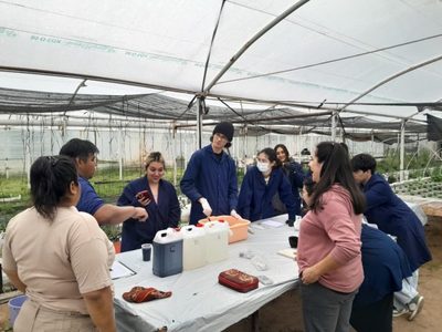 Alumnos de la EPET N° 5 de Neuquén realizan prácticas profesionalizantes en El Puesto de Plottier