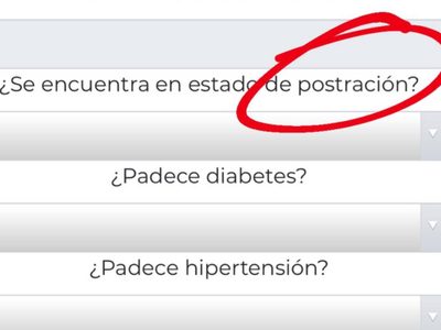 "¿Qué es estado de postración?": así se viralizó esta duda en internet