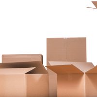 No las tires: transformá las cajas de cartón vacías en este organizador bueno, bonito y barato para ordenar tu casa