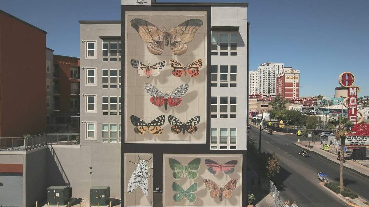 Arte en las calles que refleja la naturaleza. Fuente: (Instagram)