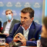 Según Darío Martínez, la Secretaría de Energía avanzó en la segmentación de tarifas para el 2022