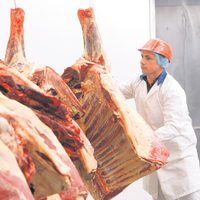 Exportación de carne: las nuevas restricciones causarán pérdidas millonarias en la industria