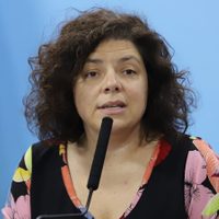 Apuntan contra un funcionario del Ministerio de Salud por iniciar una campaña contra Carla Vizzotti