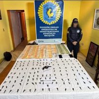 Un fuerte operativo de la Policía Federal en Neuquén permitió incautar drogas y armas de fuego