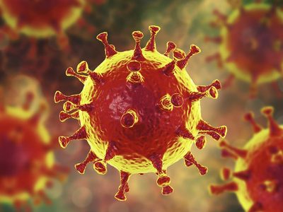 Coronavirus en Río Negro: una nueva víctima fatal y doce nuevos casos positivos