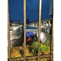 Torrencial lluvia deja un muerto, árboles derribados e inundaciones en Guadalajara