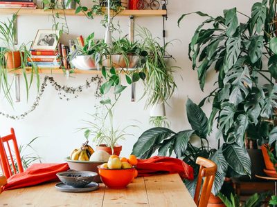Si tenés banquitos viejos, no los tires: mirá cómo convertirlos en las macetas más modernas para tus plantas