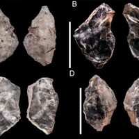 Una “navaja” de hace 65 mil años prueba que los ancestros de los humanos compartían el conocimiento