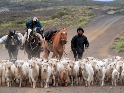 “Norte Neuquino”: la marca para sumar valor a productos y actividades de la región