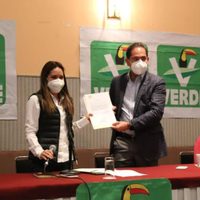 Senadores buscan excluir a popotes, bolsas y unicel como plásticos de un solo uso, denuncian ONG