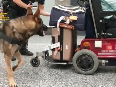 Intentó pasar cocaína oculta en una silla de ruedas, pero un perro lo detectó en el aeropuerto