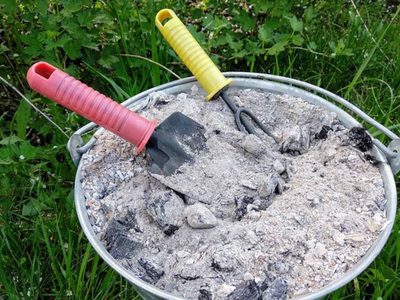 No tires las cenizas del asado y usalas de esta manera en tu jardín para beneficiar a tus plantas