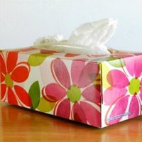 No tires la caja de pañuelitos vacía: mirá lo útil que es para hacer esta decoración exprés de Halloween
