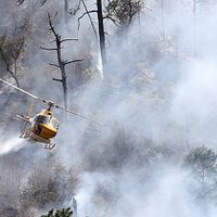 Gobierno de Nuevo León controla incendio en la Sierra de Santiago