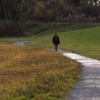 Comprueban definitivamente por qué una hora de caminata en la naturaleza hace bien al cerebro