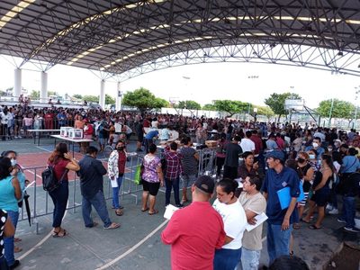 Delgado asegura que participan "millones" en las elecciones de Morena