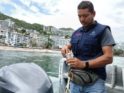 Cofepris alerta de 18 playas contaminadas para este periodo vacacional