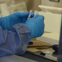Río Negro: ocho nuevos casos de coronavirus