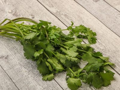 La forma simple de cultivar por siempre perejil o cilantro en una botella y sin maceta ni tierra