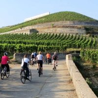Crean un diccionario especial para fomentar el Enoturismo