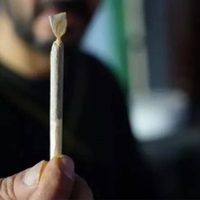 Uso de tarjeta de mariguana medicinal no contribuyó a combatir ansiedad y depresión: Estudio