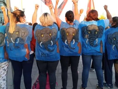 "Caravanazo provincial" en solidaridad con los autoconvocados de Salud
