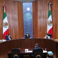 Tribunal Electoral rescata a otros 12 candidatos al Poder Judicial que el INE declaró inelegibles