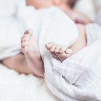 Bebé de 15 meses queda atorado en un molino de carne por horas y pierde una mano