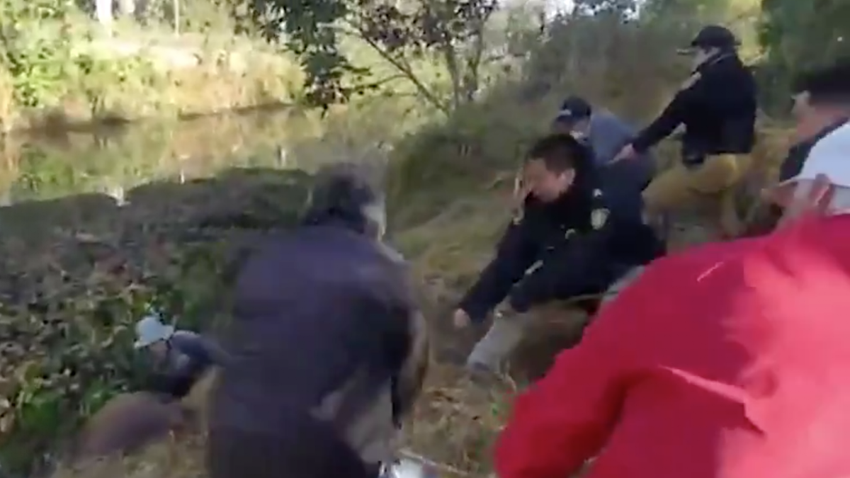 El rescate